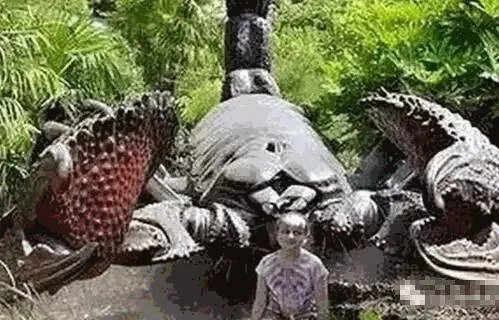 网上有没有真钱