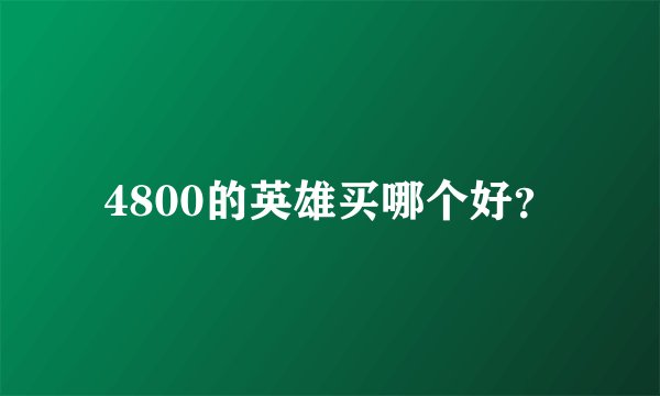 4800的英雄买哪个好？