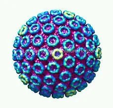 警惕！！我国发现首例输入性裂谷热