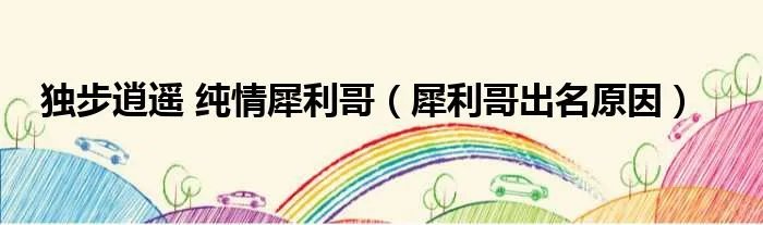 独步逍遥 纯情犀利哥（犀利哥出名原因）