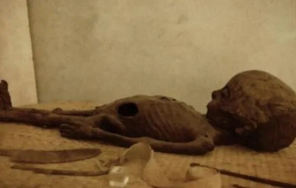 巨头干尸是什么:疑似外星人的干尸,头骨比人类大很多