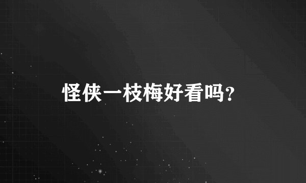 怪侠一枝梅好看吗？