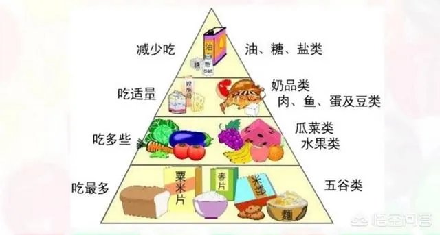 中小学校内不得设置小卖部,对此你怎么看?