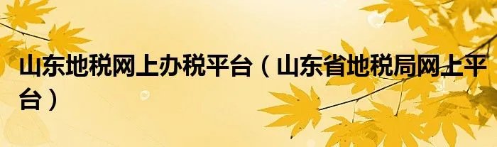 山东地税网上办税平台（山东省地税局网上平台）
