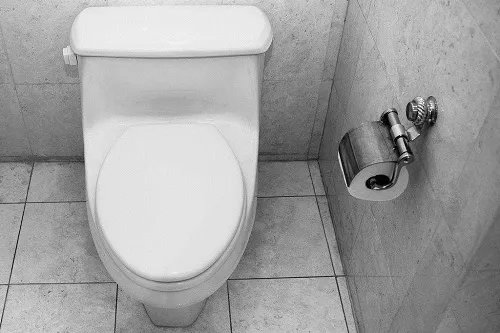 抽水马桶结构是什么