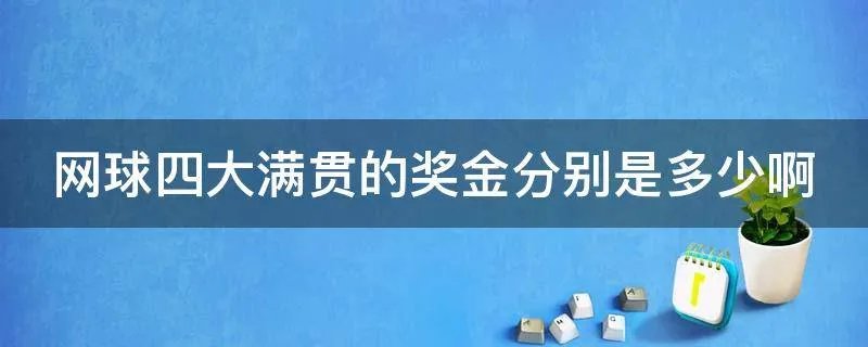 网球四大满贯的奖金分别是多少啊