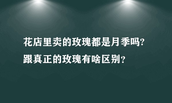 花店里卖的玫瑰都是月季吗?跟真正的玫瑰有啥区别?