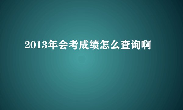2013年会考成绩怎么查询啊