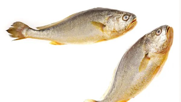 鱼肝油应该怎么吃?鱼肝油可以吃到什么时候?