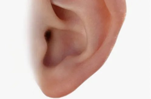 自体脂肪丰耳垂效果怎样
