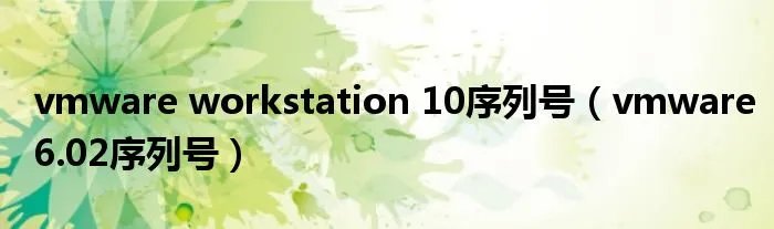 vmware workstation 10序列号(vmware6.02序列号)