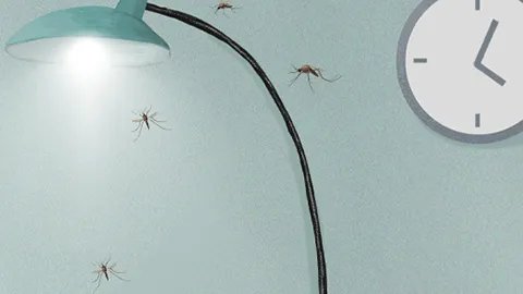 蚊香对孕妇有害吗