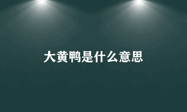 大黄鸭是什么意思