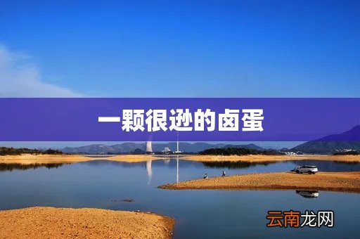 一颗很逊的卤蛋