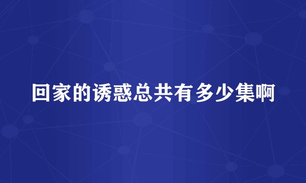 回家的诱惑总共有多少集啊