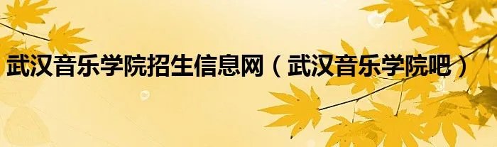 武汉音乐学院招生信息网（武汉音乐学院吧）