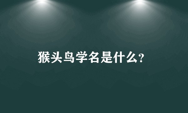 猴头鸟学名是什么？