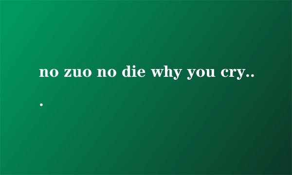 no zuo no die why you cry 的下一句是什么,求多版本