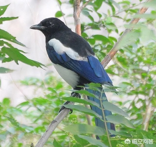 138企业邮箱怎么样？