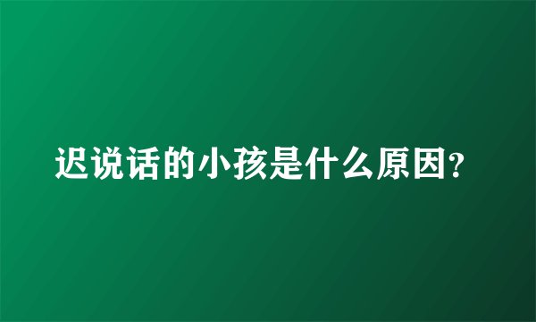 迟说话的小孩是什么原因？
