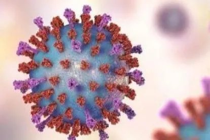 新冠病毒消失了吗