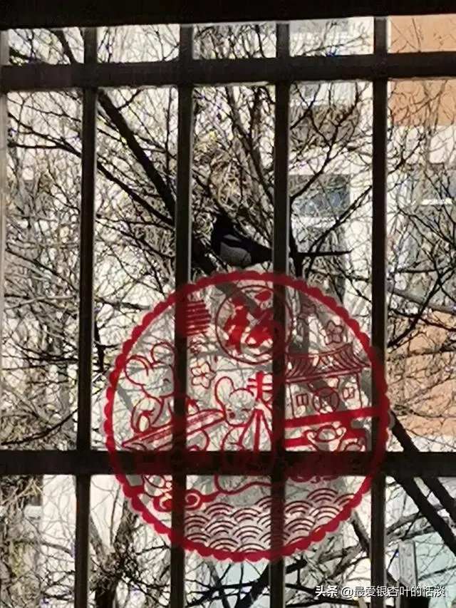 为疫情一线人员发“强制休息令”,您支持吗?