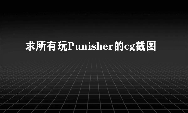 求所有玩Punisher的cg截图