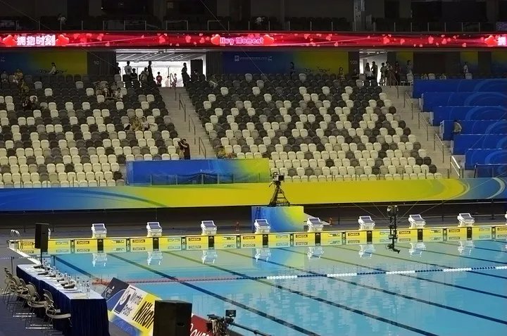 上海世界游泳锦标赛有哪几个项目?