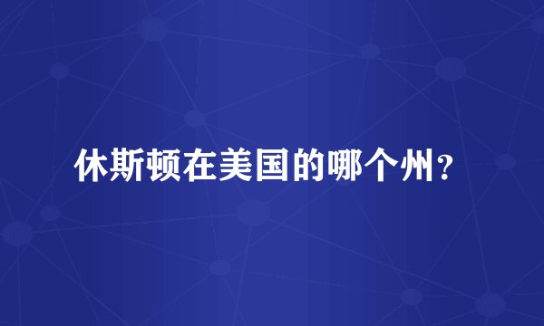 休斯顿在美国的哪个州?