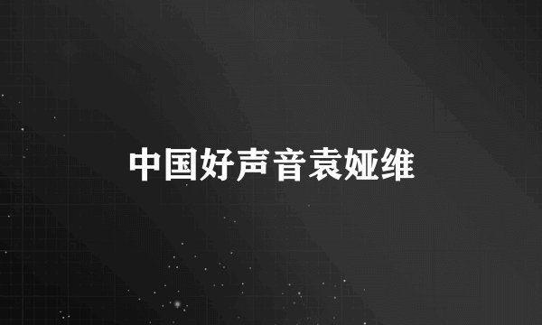中国好声音袁娅维