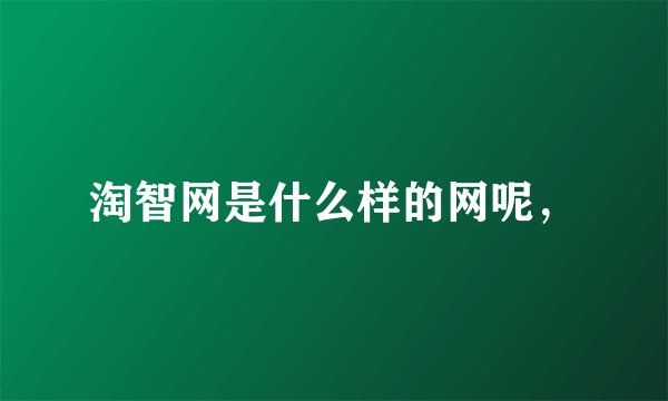 淘智网是什么样的网呢,