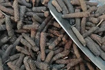 毕茇的功效与作用