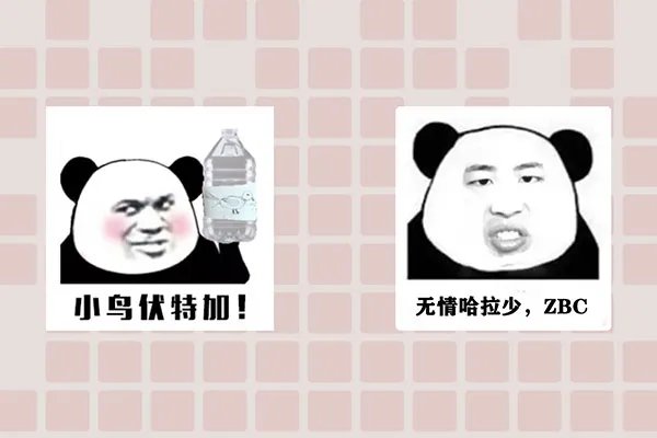 小鸟伏特加什么梗