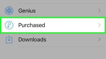 3种方法来下载电影到iPad中