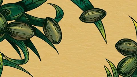 吃槟榔会影响生育吗