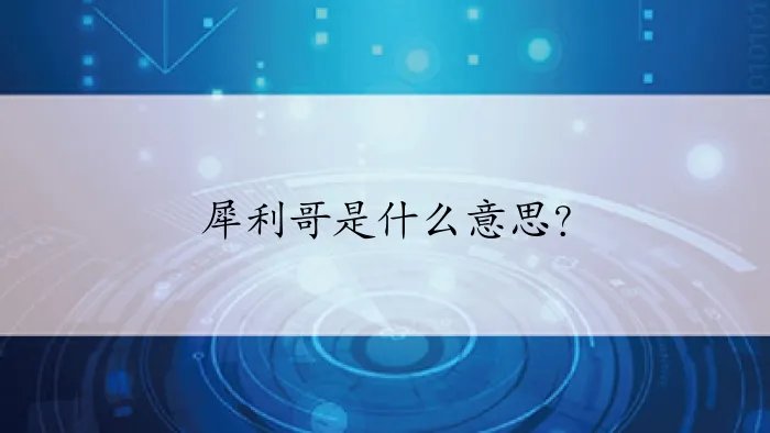 犀利哥是什么意思?