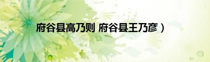 府谷县高乃则 府谷县王乃彦)