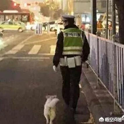 如何看待成都街头流浪小狗求助辅警，守候路边等他下班，最终被收养？