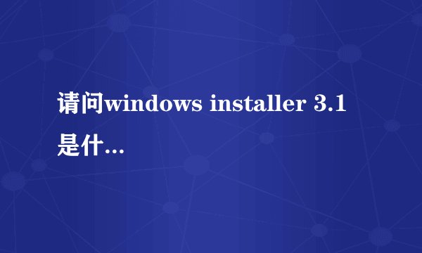 请问windows installer 3.1是什么程序啊