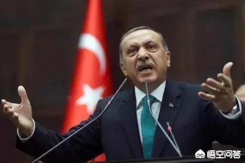 俄罗斯战机被土耳其击落,俄罗斯为什么不敢报复土耳其?