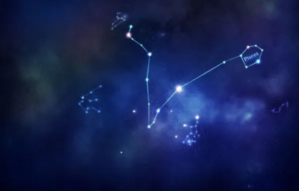 牧羊座是什么星座