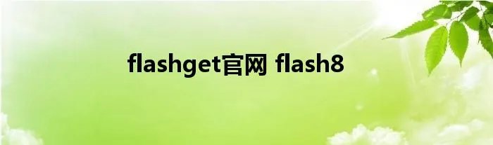 flashget官网 flash8