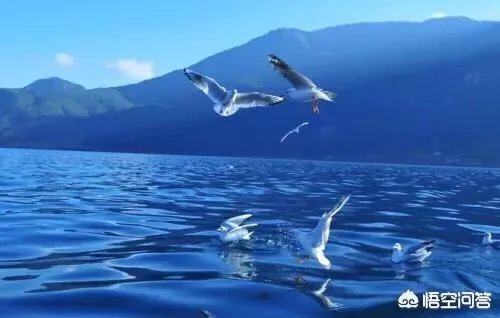 上联：日薄西山捉鱼忙，下联怎么对？