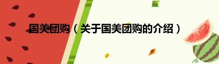 国美团购(关于国美团购的介绍)