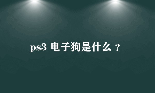 ps3 电子狗是什么 ？