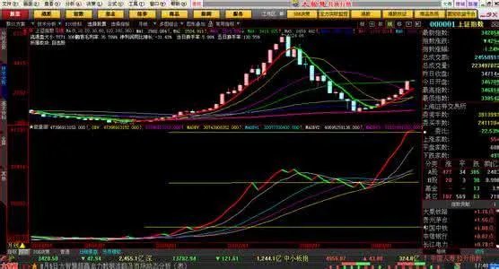 什么是能量潮?能量潮是什么意思?