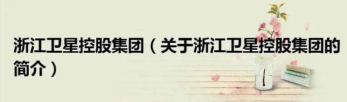 浙江卫星控股集团（关于浙江卫星控股集团的简介）
