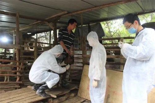 兰州布病76664人将获得补偿，他们为什么可以得到补偿？有什么意义？