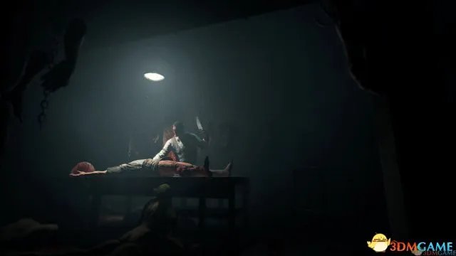 体验极致恐怖 《逃生：告密者》RELOADED破解版