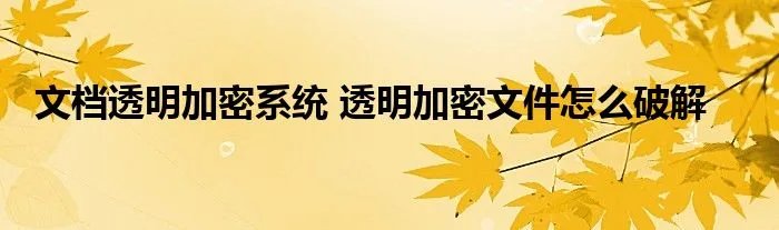 文档透明加密系统 透明加密文件怎么破解